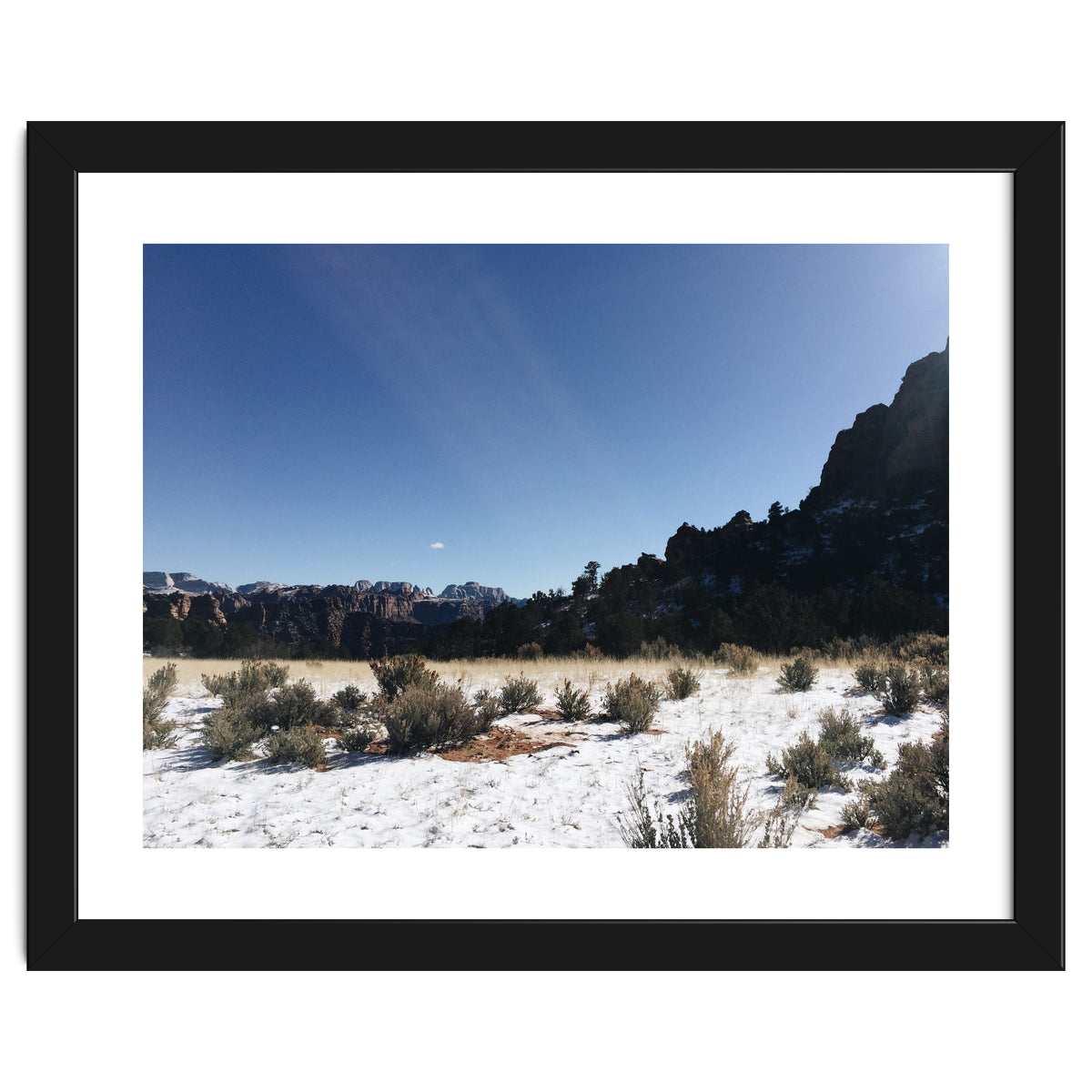 Zion National Park II