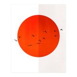 Seagulls Of The Sun (Print Only) thumbnail