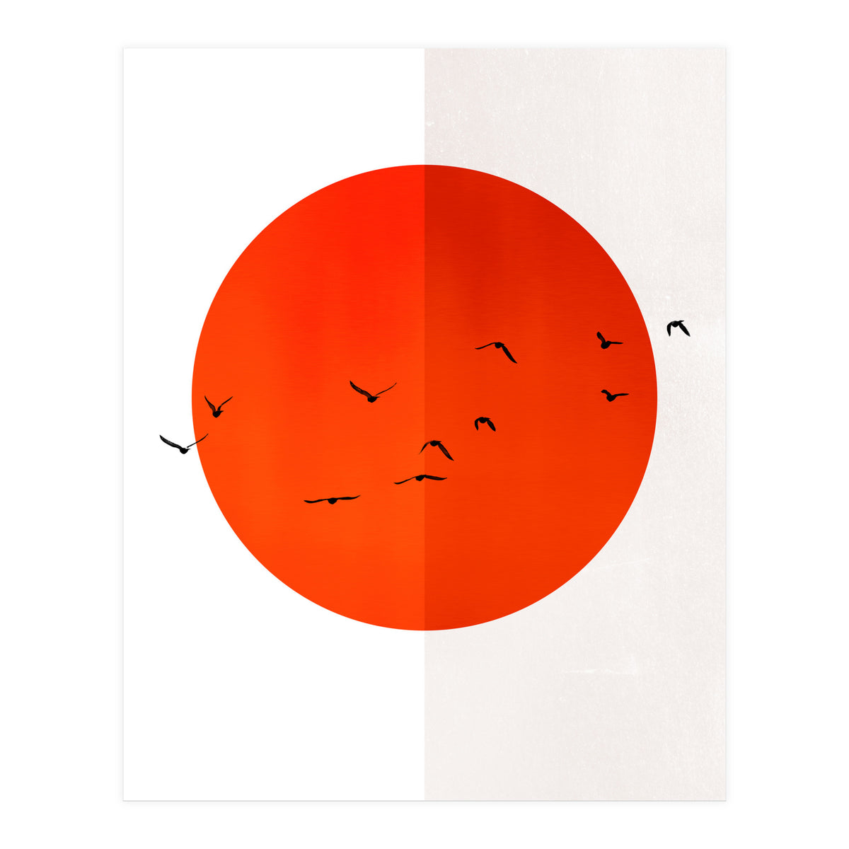 Seagulls Of The Sun (Print Only)