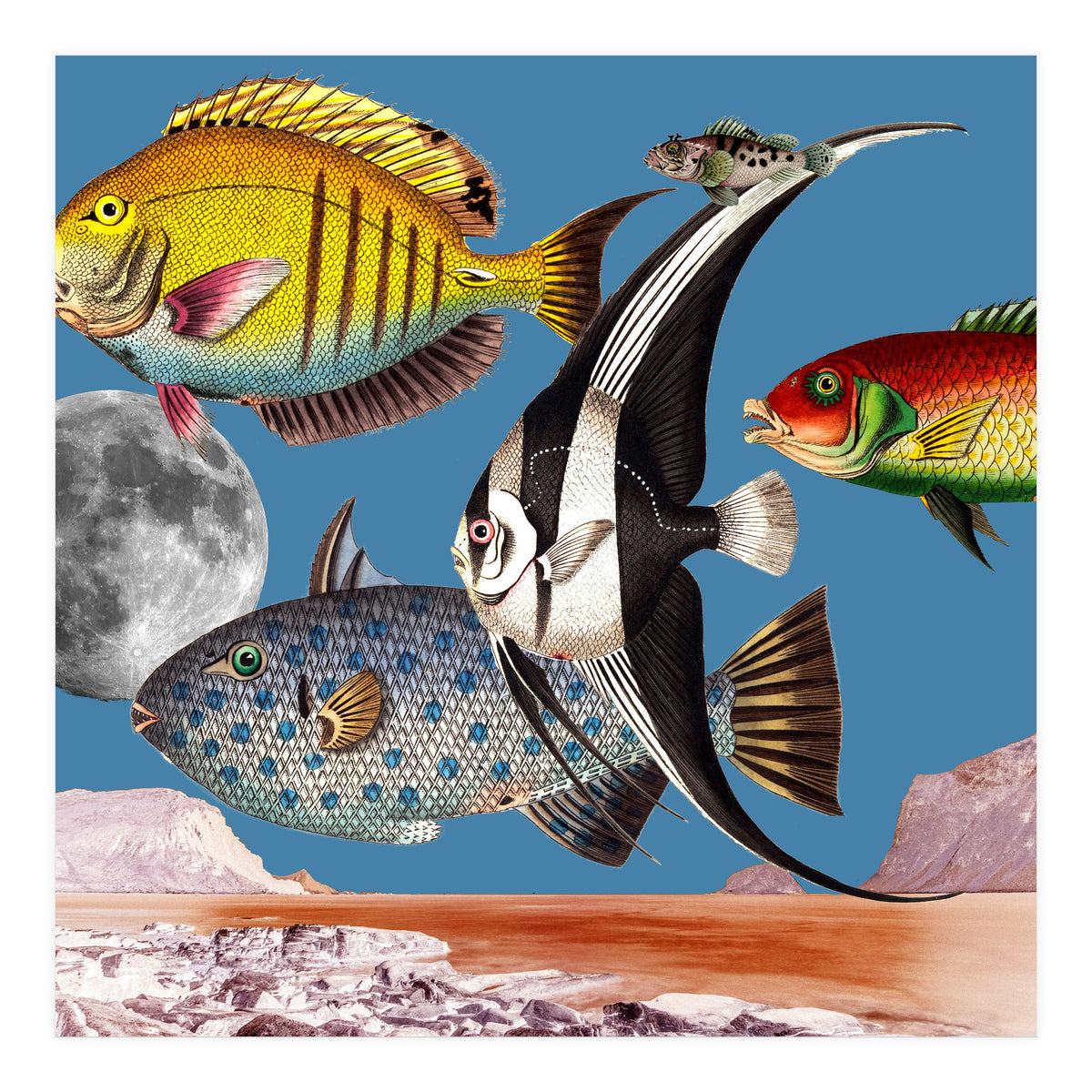 Fish World Blue (Print Only)