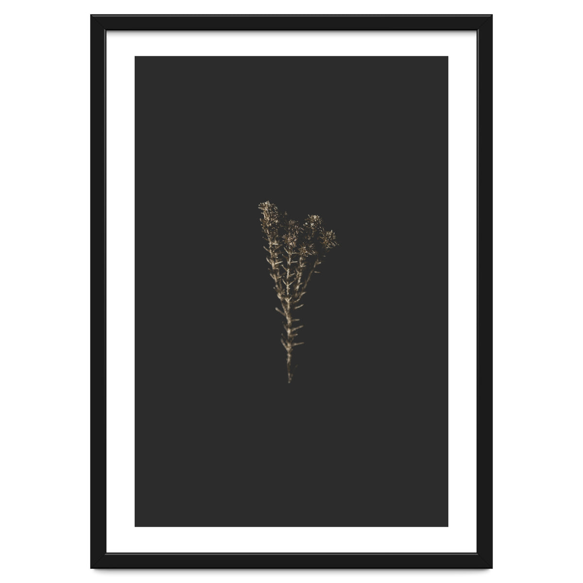 Moody Golden Botanicals