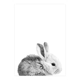 Black and White Bunny Portrait (Print Only) thumbnail