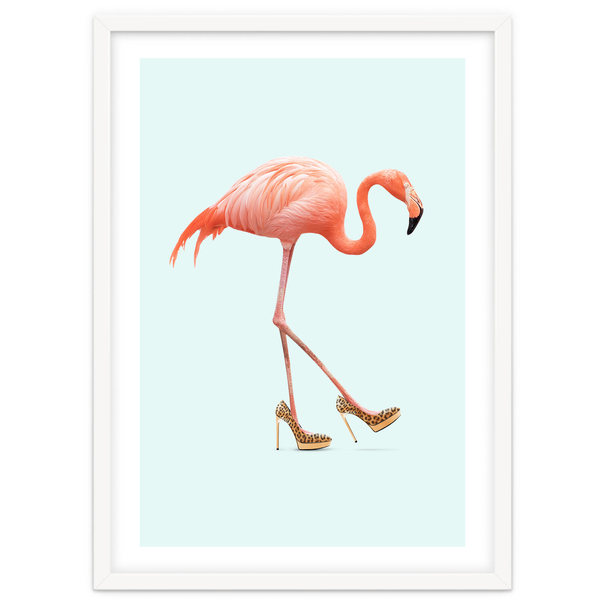 Fancy Flamingo