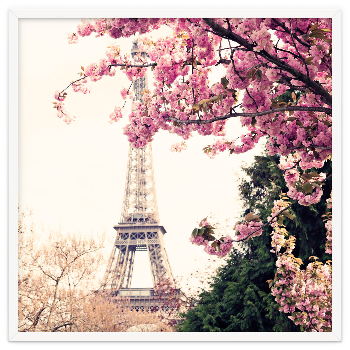 Paris in the Spring
