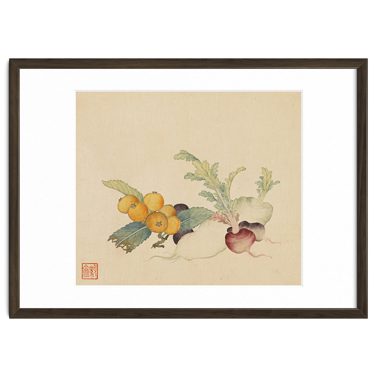 Wang Chengpi~flowers And Vegetables, Vegetables, Fruits, Loquat, White Radish, Carrot, Radish