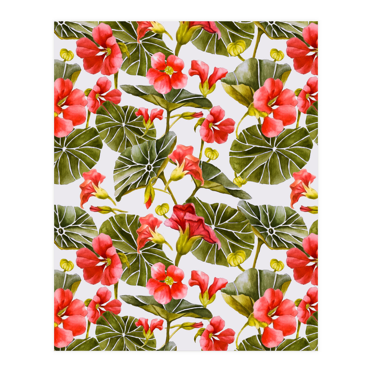 Nasturtiums watercolor 02 (Print Only)