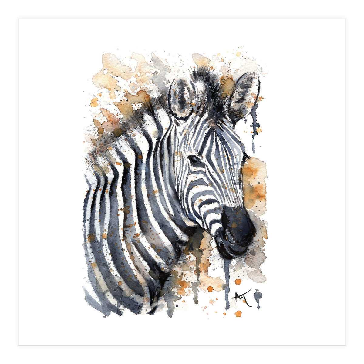 Zebra - Wildlife Collection (Print Only)