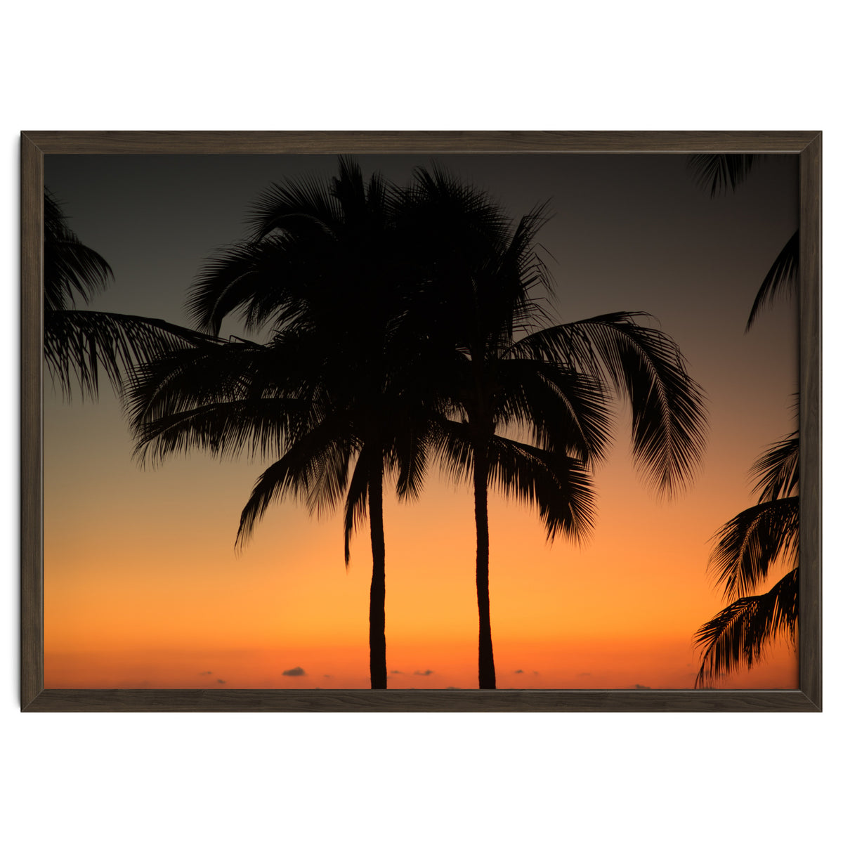 Mexico, November nights