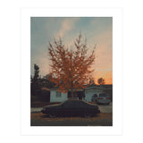 Autumn tree (Print Only) thumbnail