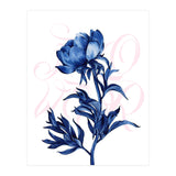 rosa blu (Print Only) thumbnail