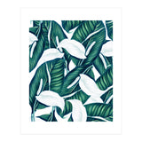 Tropical Winter (Print Only) thumbnail