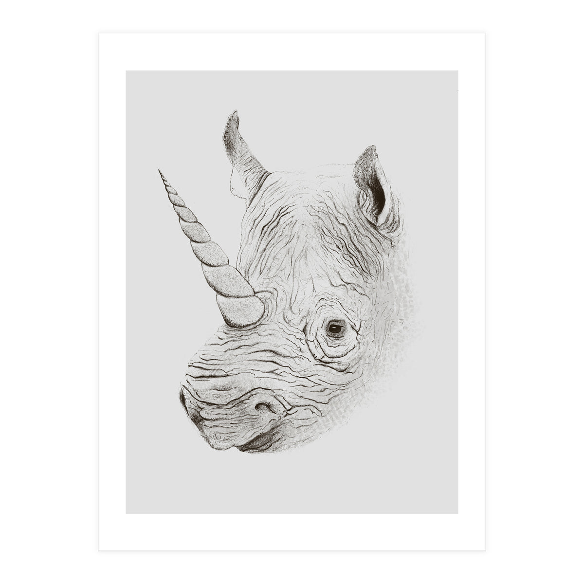 Rhinoplasty (Print Only)