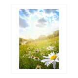 Nature (Print Only) thumbnail