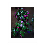 Beautiful Flower Garden (Print Only) thumbnail