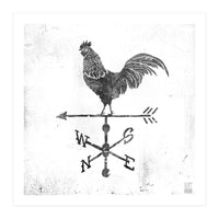 Weather Vane (Print Only)