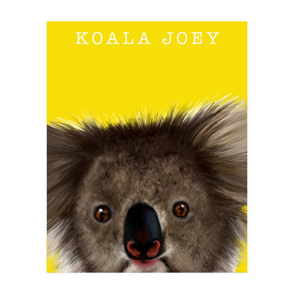 Koala Joey (Print Only)