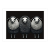 Fashion Sheep (Print Only) thumbnail