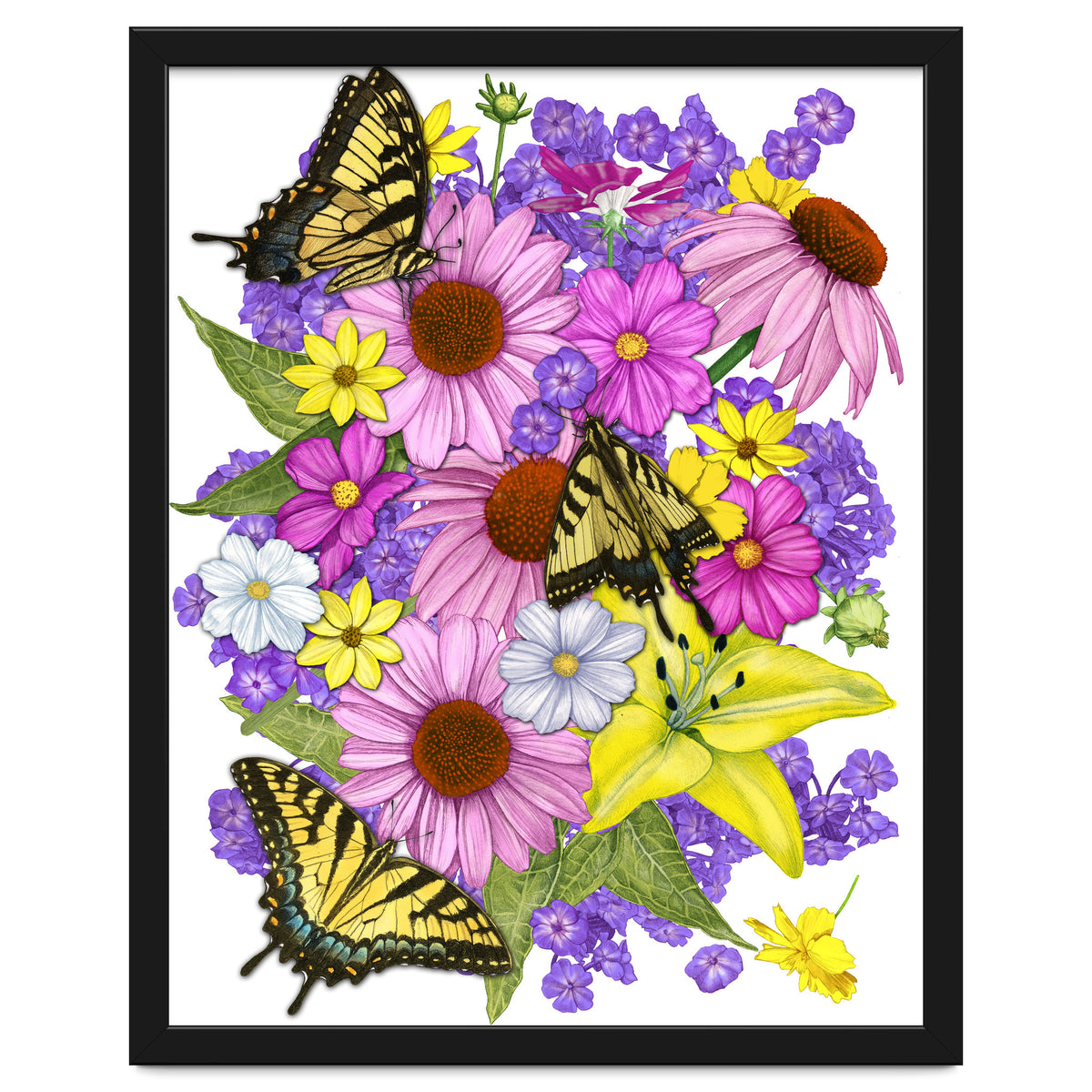 Corn Flowers and Swallowtails