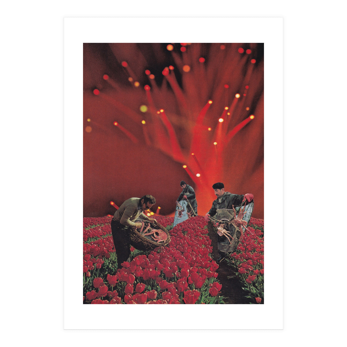 Red King Crab (Print Only)