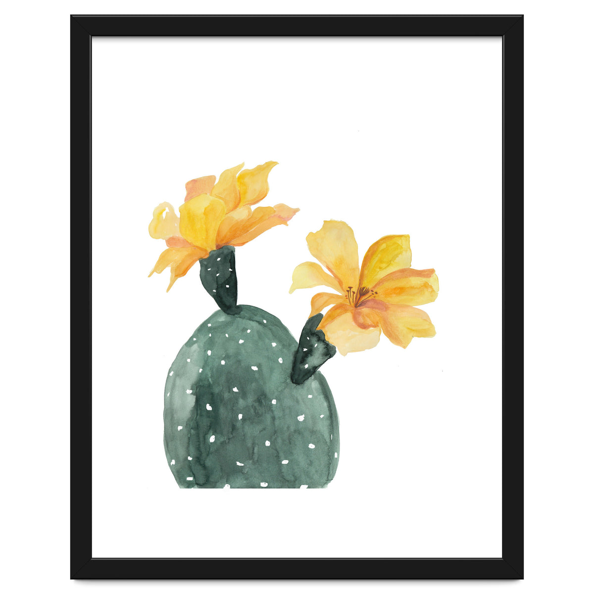 Botanical Illustration Yellow Cactus Flowers