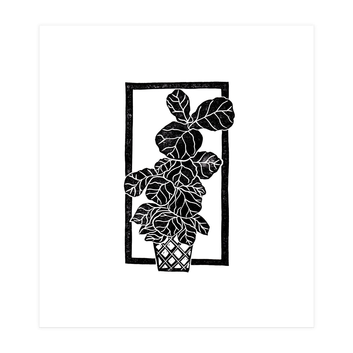 Fiddle Leaf Fig (Print Only)