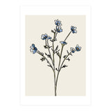 Bunch II (Print Only) thumbnail
