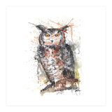 Owl - Wildlife Collection (Print Only) thumbnail