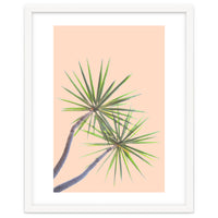 Tropical Serenity | Botanical Nature Plants | Boho Jungle Floral Garden | Watercolor Palm Painting