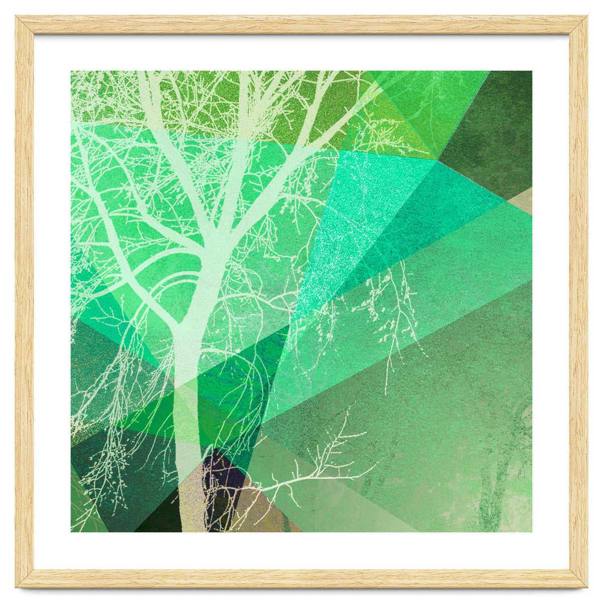 P22-B3 Trees And Triangles