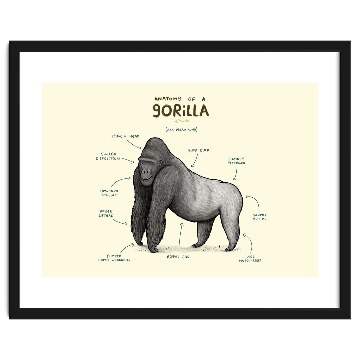 Anatomy of a Gorilla
