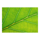 Autumn Leaf (Print Only) thumbnail
