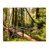 Ewoldsen Trail Bridge  (Print Only) thumbnail