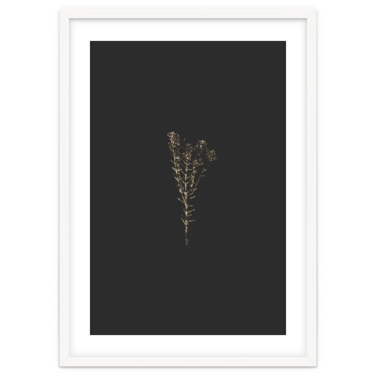 Moody Golden Botanicals