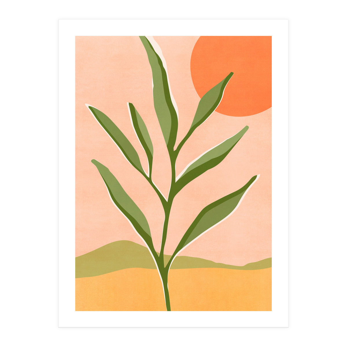 The Sun and The Succulent (Print Only)