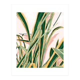 Blush Botanical Unfolding (Print Only) thumbnail