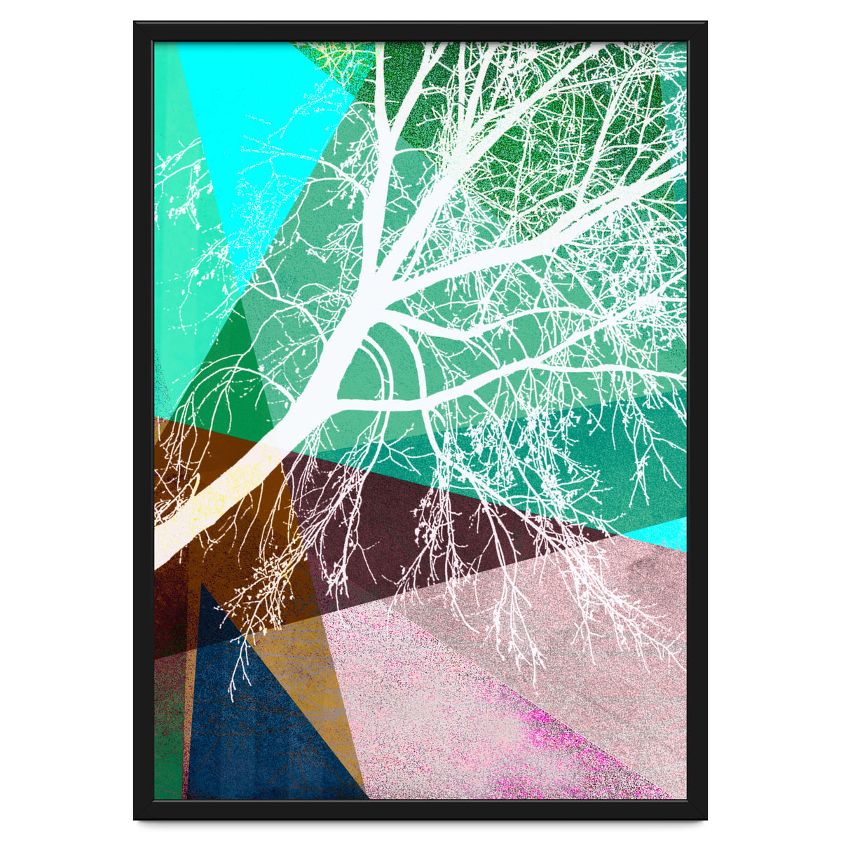 P16-H Trees And Triangles