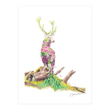 Floral May Stag (Print Only) thumbnail