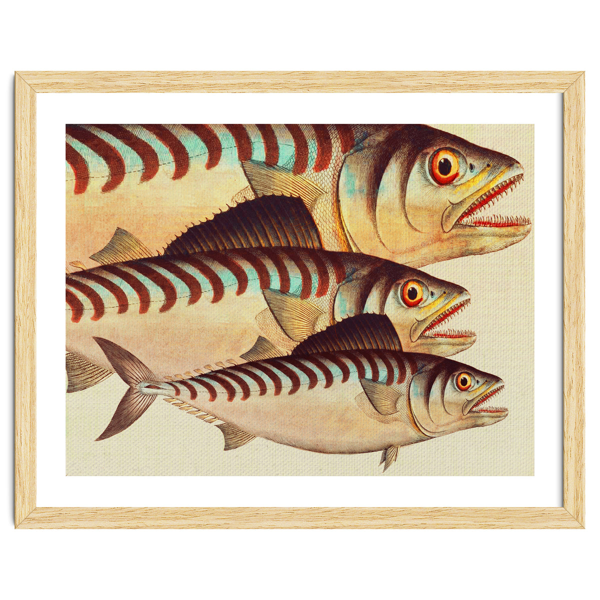 Fish Classic Designs 8