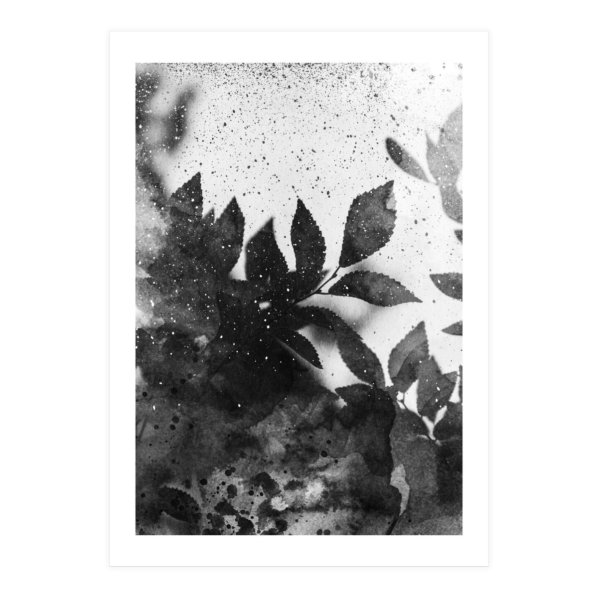 Leaves #1 (Print Only)