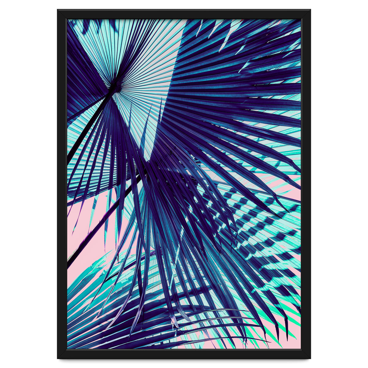 Palm leaf on the beach
