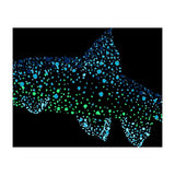 Barbel Fish (Print Only) thumbnail