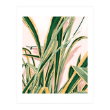 Blush Botanical Unfolding (Print Only) thumbnail