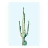 Loner Cactus (Print Only) thumbnail