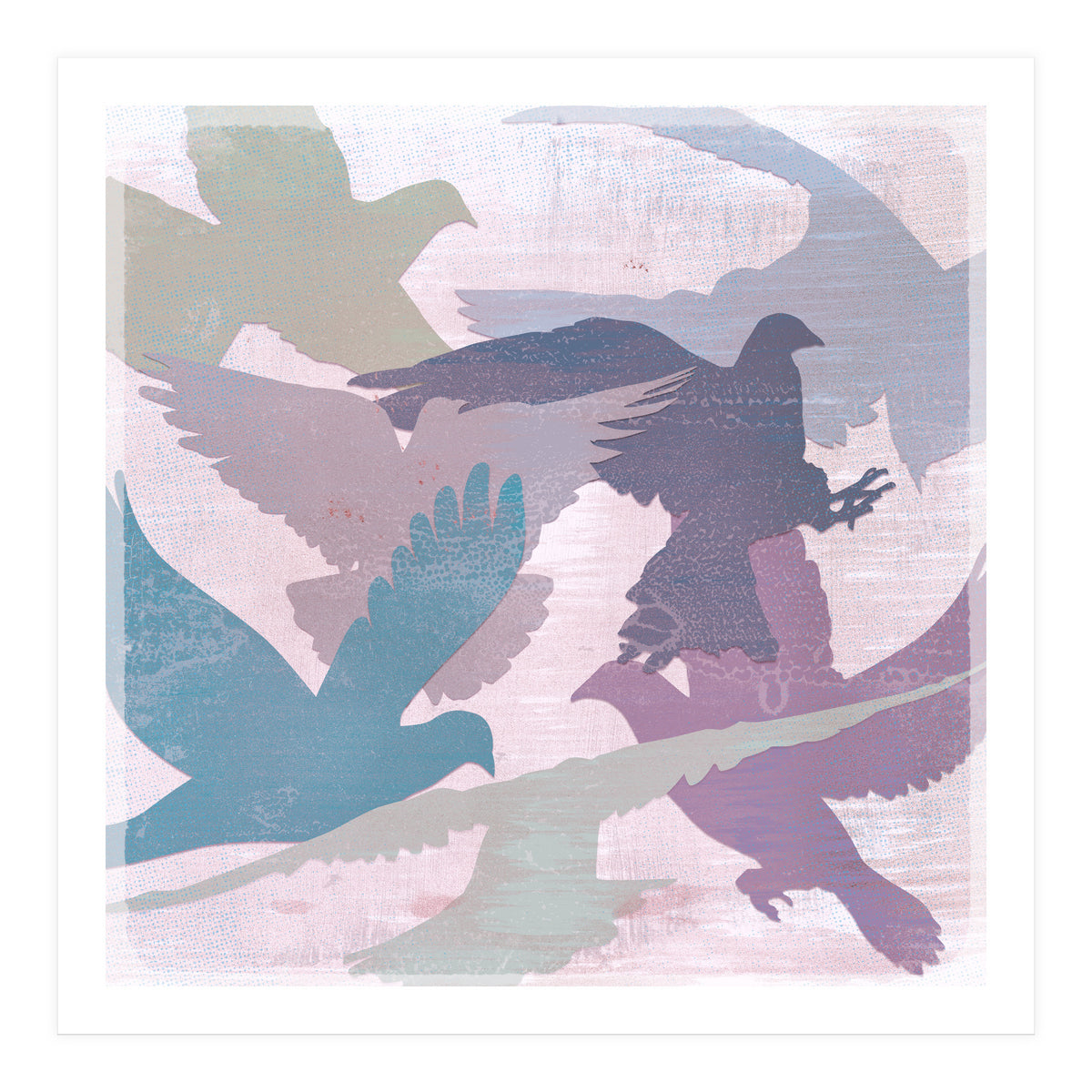 A bevy of doves (Print Only)