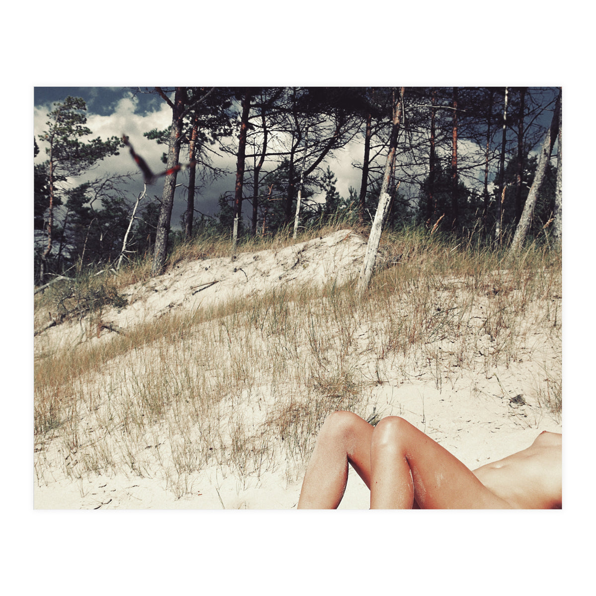 Vacation Postcard (Print Only)