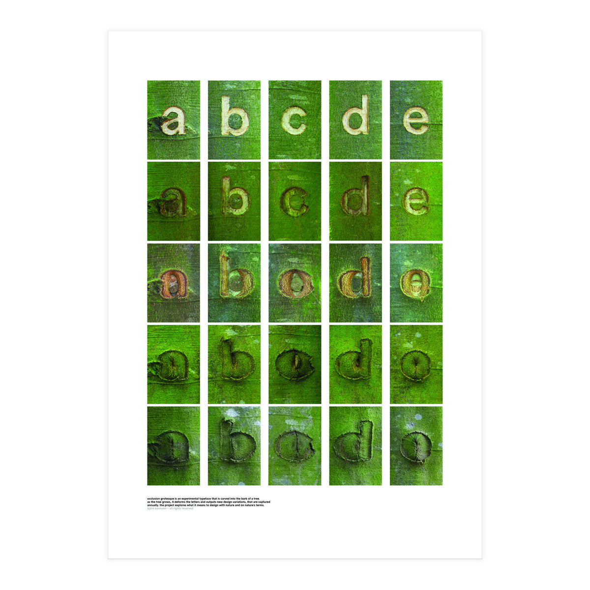 abcde (Print Only)