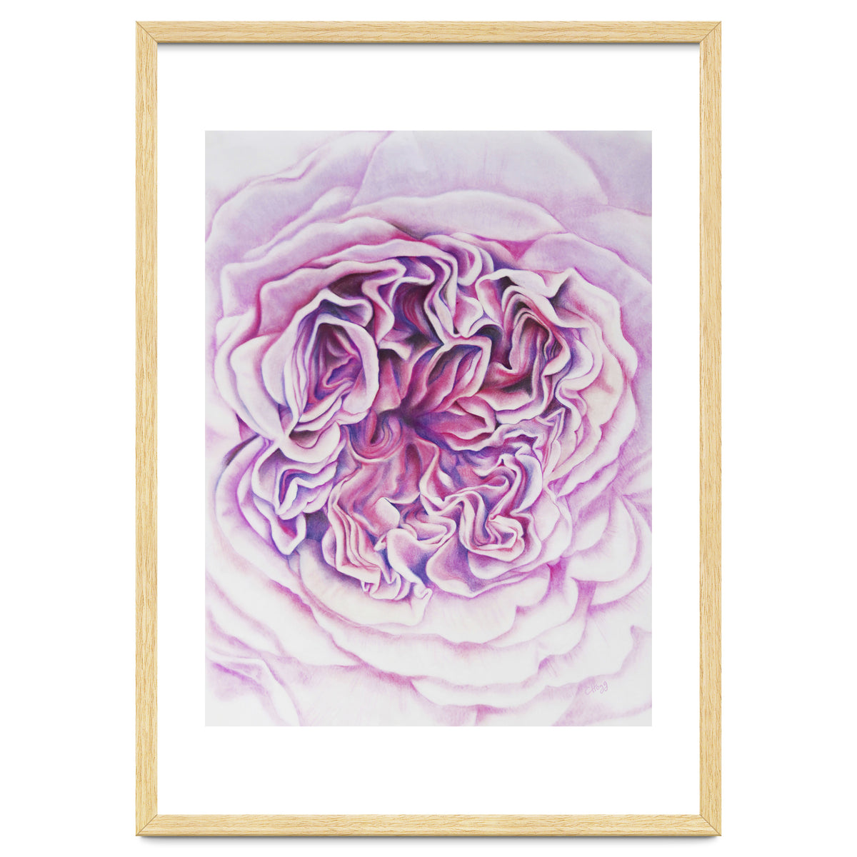 A Rose Is A Rose Std