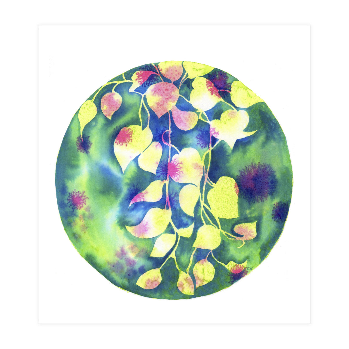 Vine Shadows (Print Only)