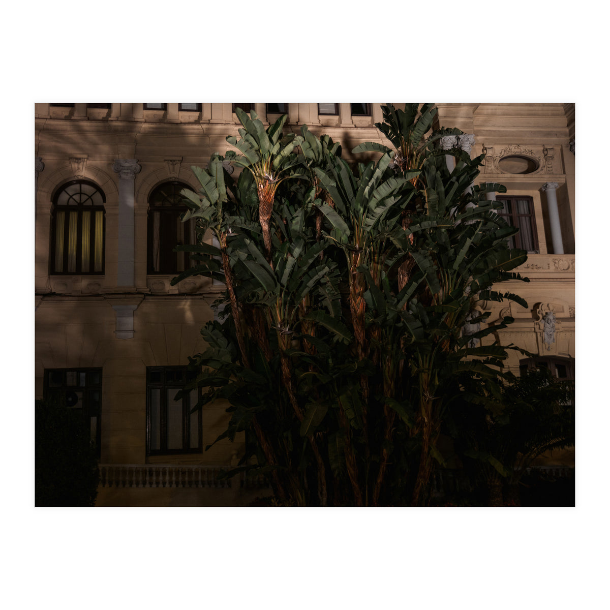 Malaga at Night (Print Only)