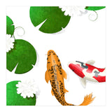 Koi fish background (Print Only) thumbnail